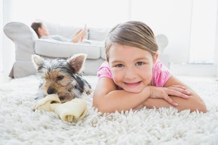 Steps To Help With Your Carpet Cleaning Routine