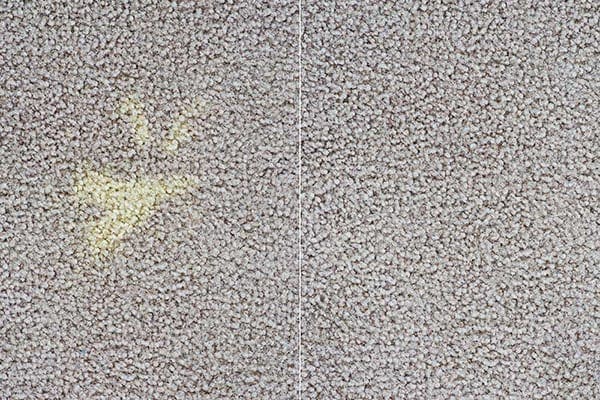 Bleach stains on carpet repair Milwaukee