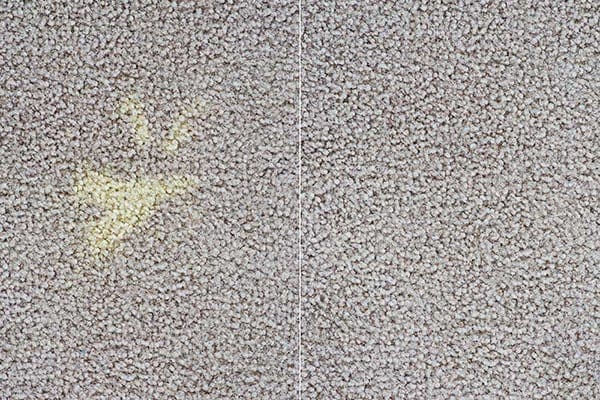Bleach Stain on Carpet Bleach stains on carpet repair Milwaukee
